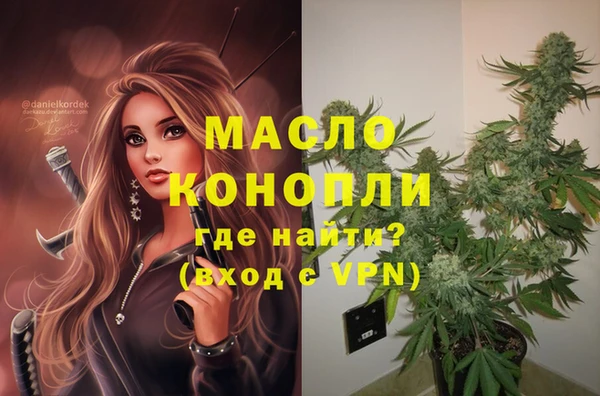 МДПВ Алзамай