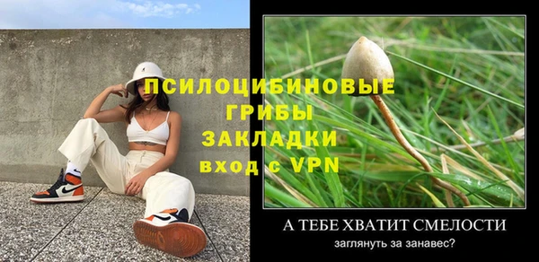 прущие грибы Алексеевка