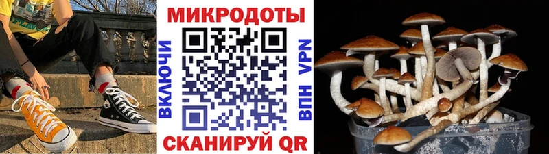 Псилоцибиновые грибы GOLDEN TEACHER Каневская